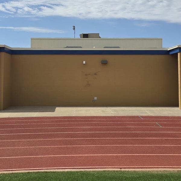 FISD Mascots