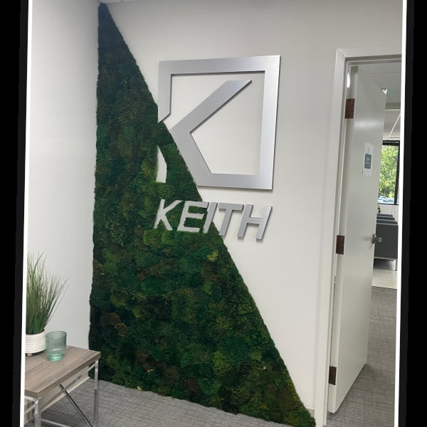 Dimensional Logo