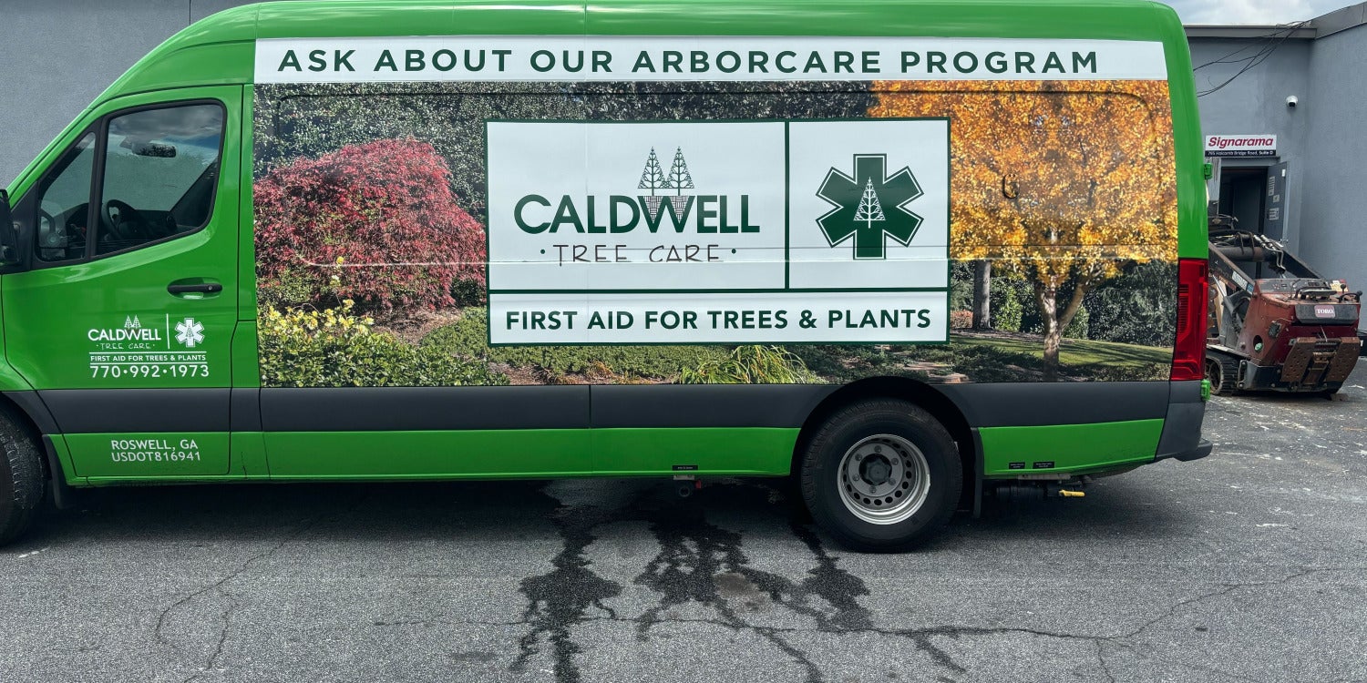 Custom Vehicle Signs and Graphics