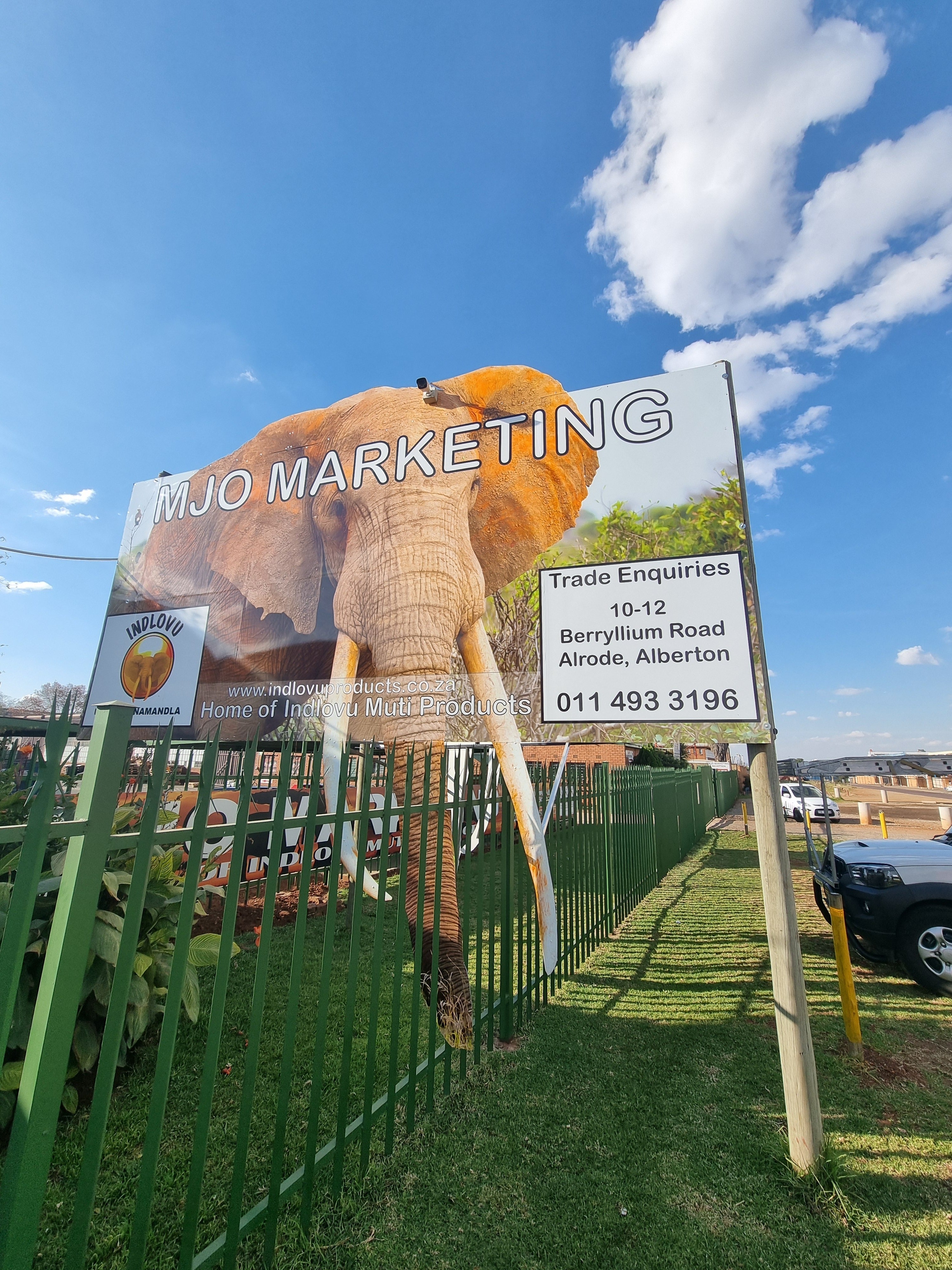 Stand TALL in the Jungle of Marketing!