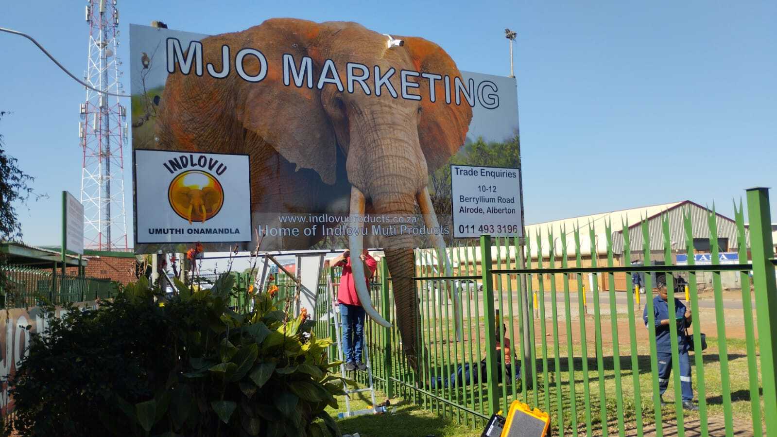 Stand TALL in the Jungle of Marketing!