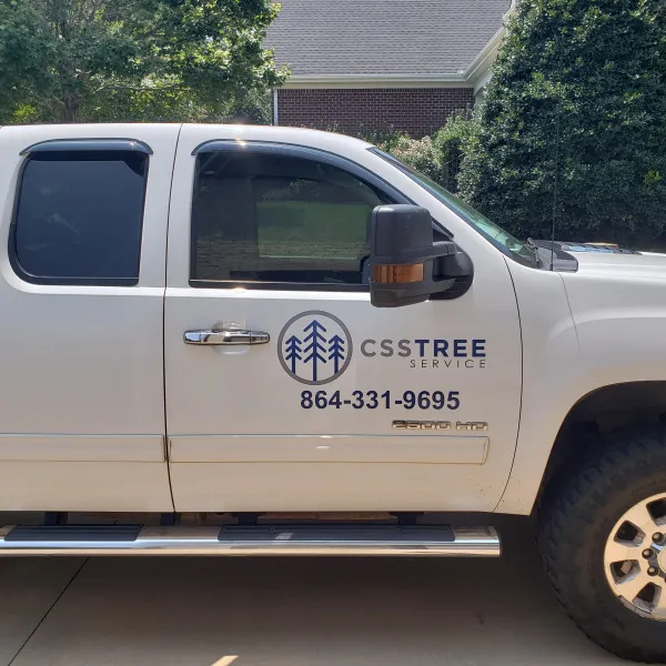 truck graphics