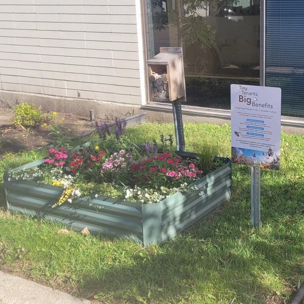 Tiny Tenants, Big Benefits Sign in Edmonton, AB