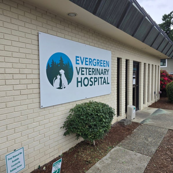 Freshen Your Brand Fast: Smart Signage Tips for Small Businesses - Evergreen Vet Hospital, Kirkland, WA