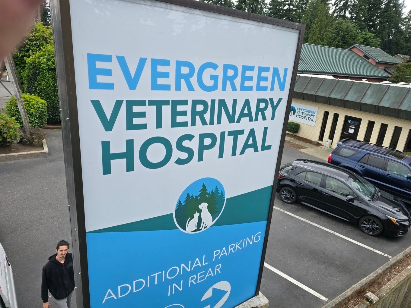Freshen Your Brand Fast: Smart Signage Tips for Small Businesses - Evergreen Vet Hospital, Kirkland, WA