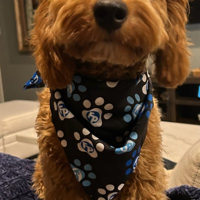 https://cdn.gorilladash.com/images/media/18811505/fully-promoted-usa-dog-bandana-square-68ac7f97e8110.jpg?auto=webp&crop=1%3A1%2Csmart&width=400