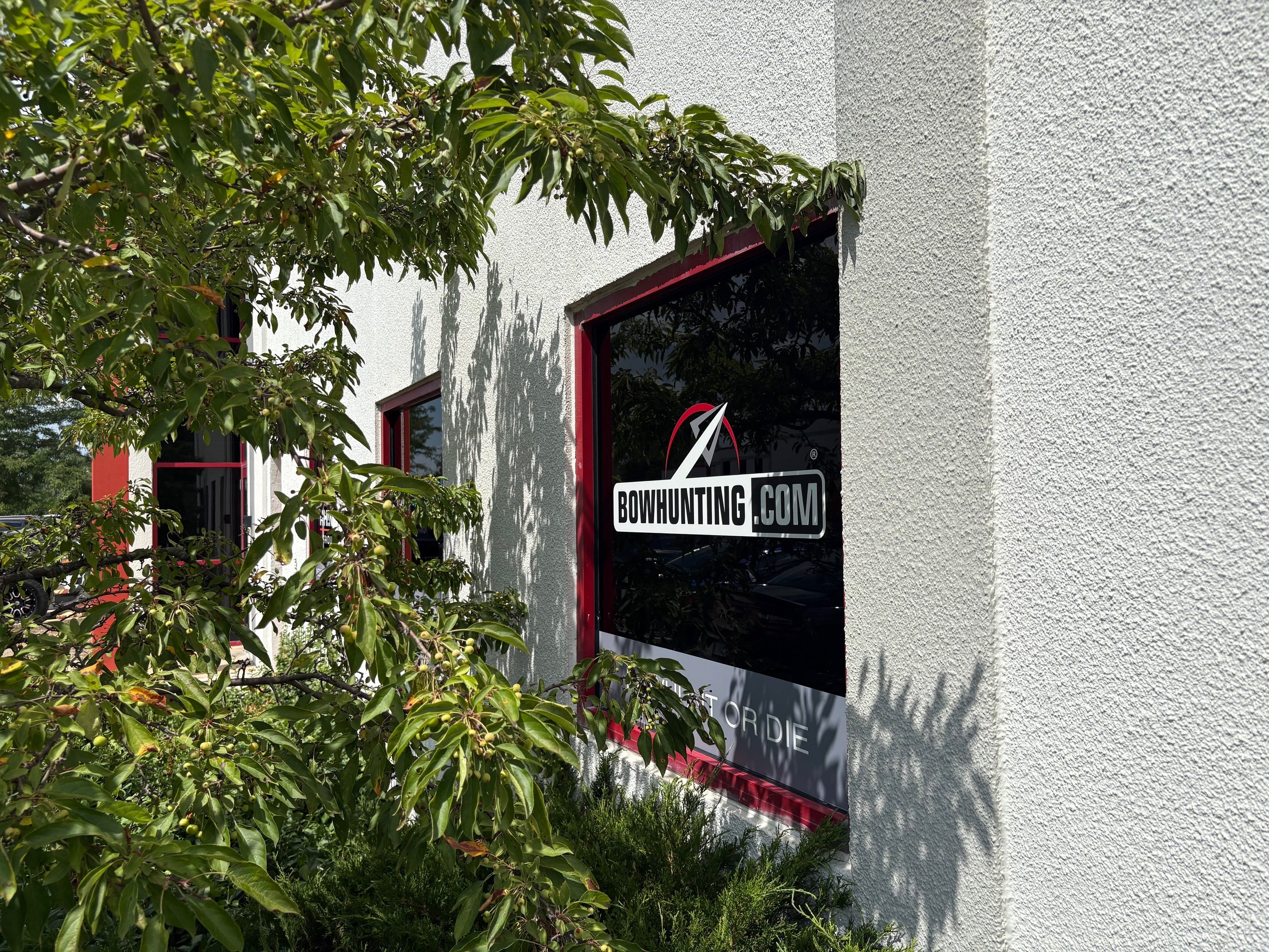 Door and Window Graphics