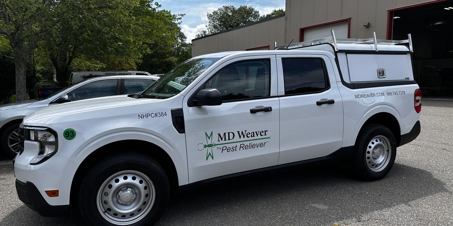 Car Branding & Vehicle Branding