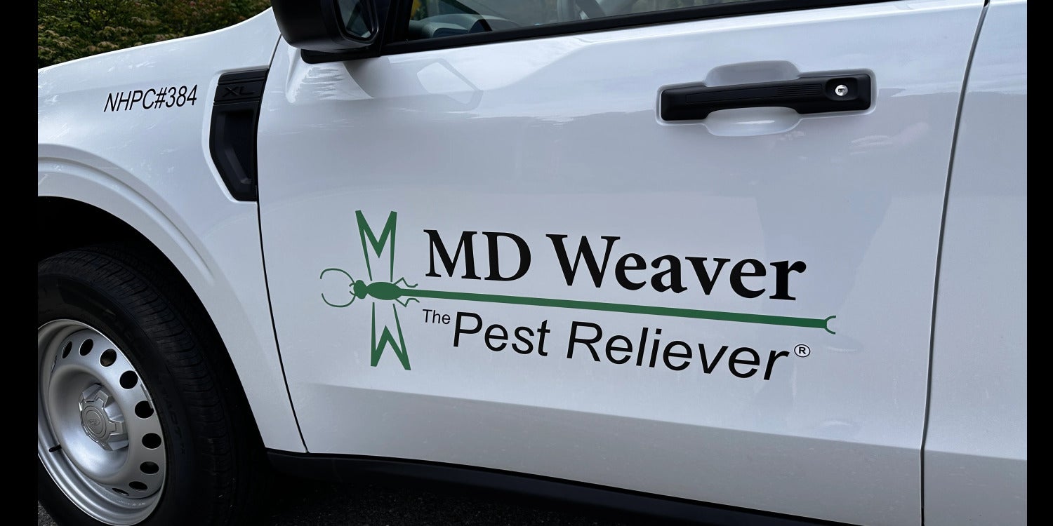 Vinyl Vehicle Lettering