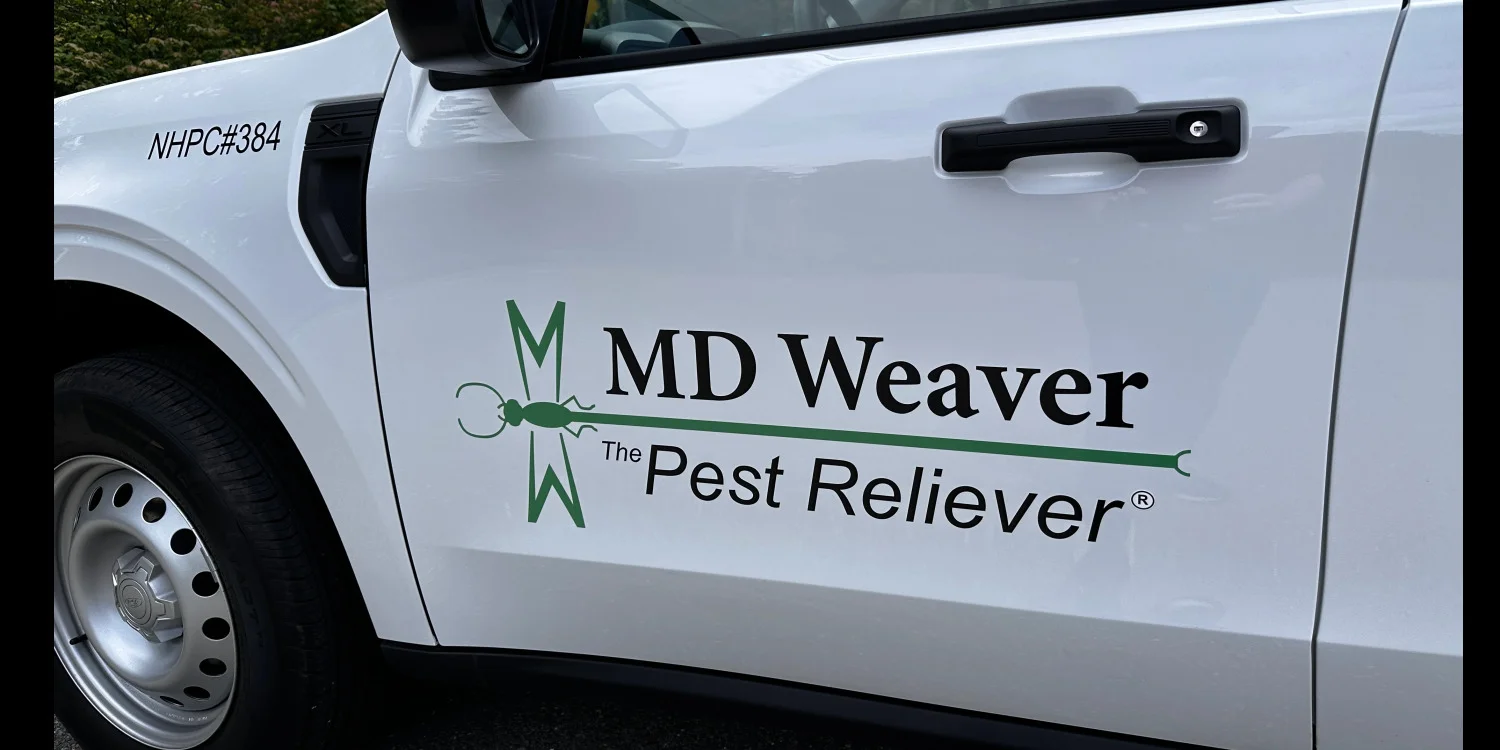 Vinyl Vehicle Lettering