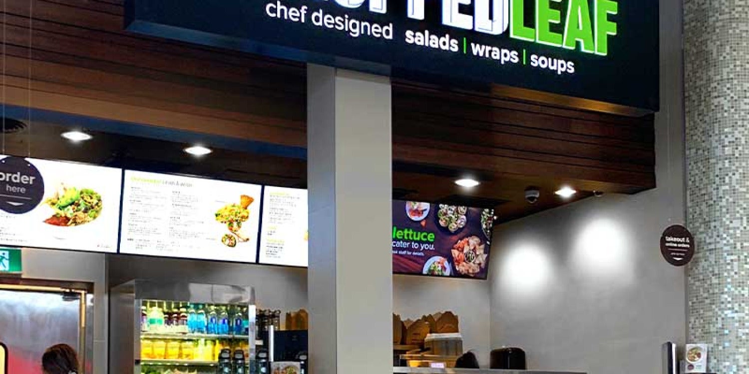 Chopped Leaf’s Catering Revolution: Freshness in Every Box Chopped Leaf’s Catering Revolution: Freshness in Every Box