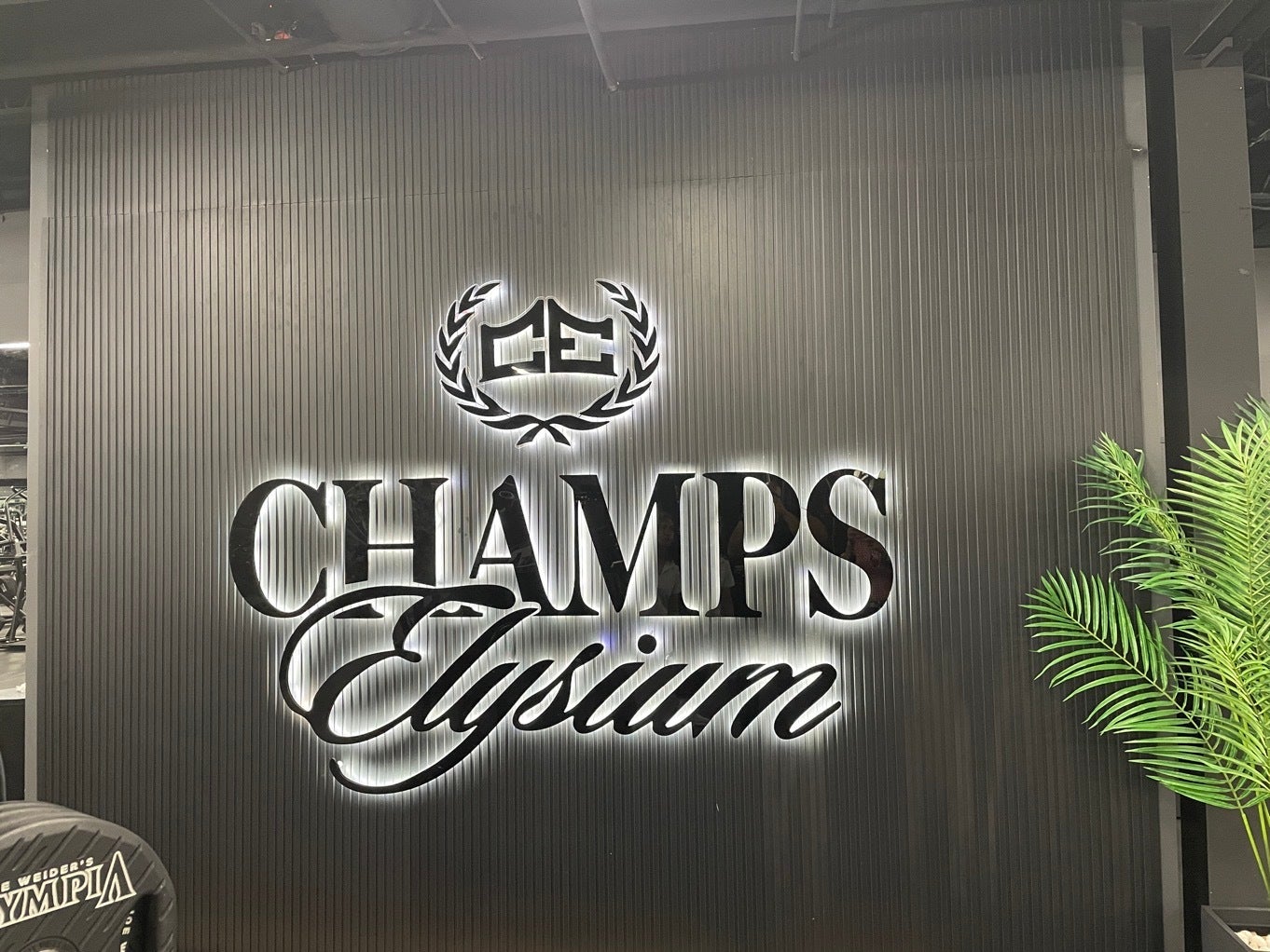 Transforming Spaces, Elevating Brands