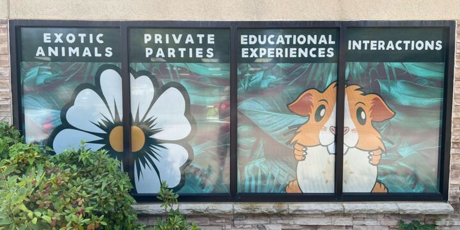 Window Signs & Signage