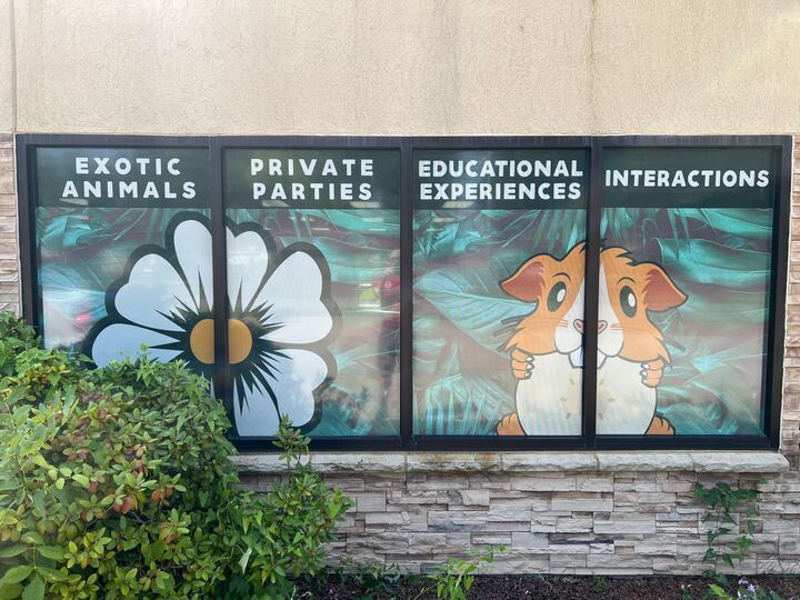 Window Signs & Signage