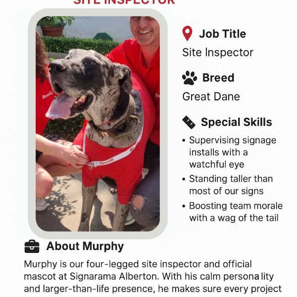 Meet Murphy – Our New Site Inspector
