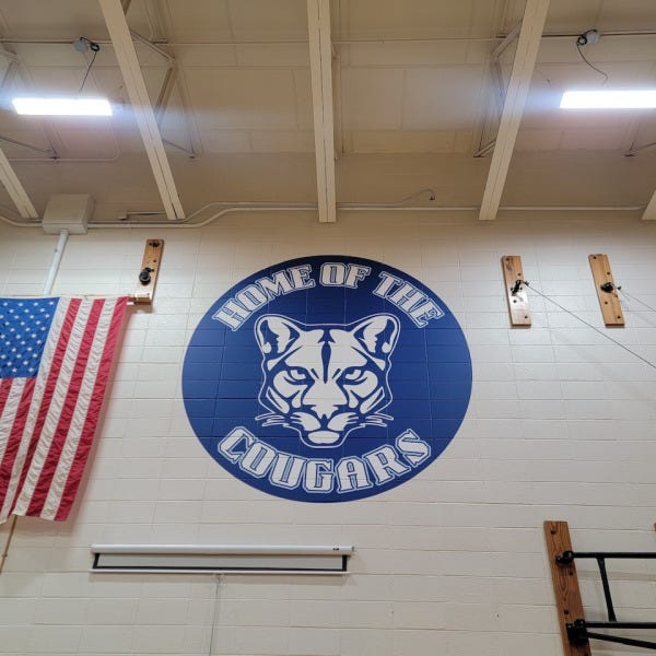 U-46 Canton Middle School Mascot Wall Mural