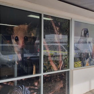  What has our Signarama Mandurah team been up to lately?