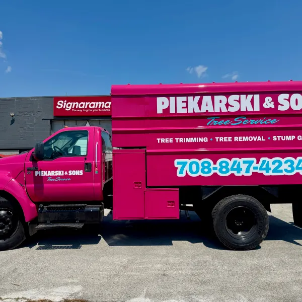 Vehicle Graphics
