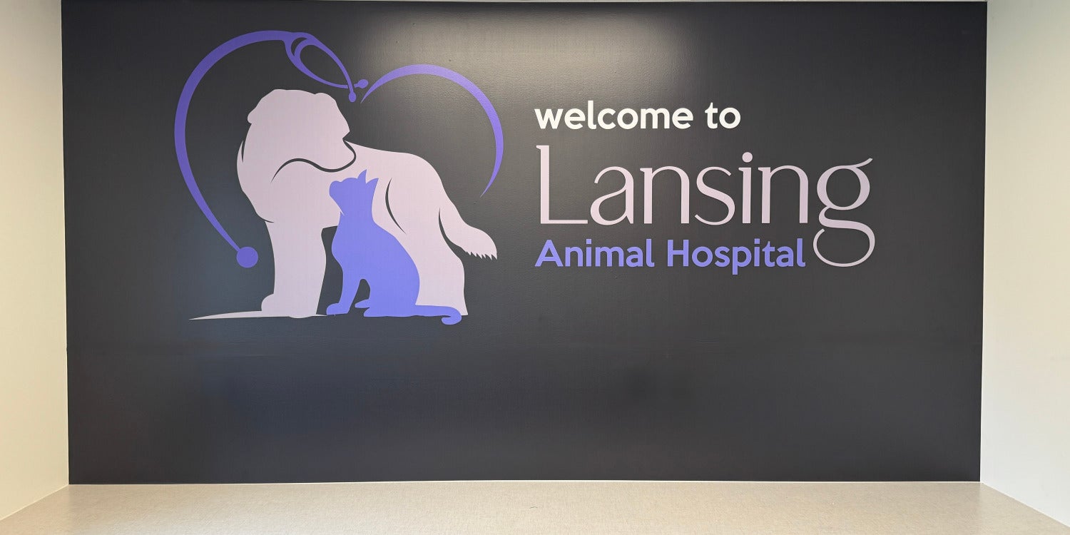 Wall Graphics & Wraps
