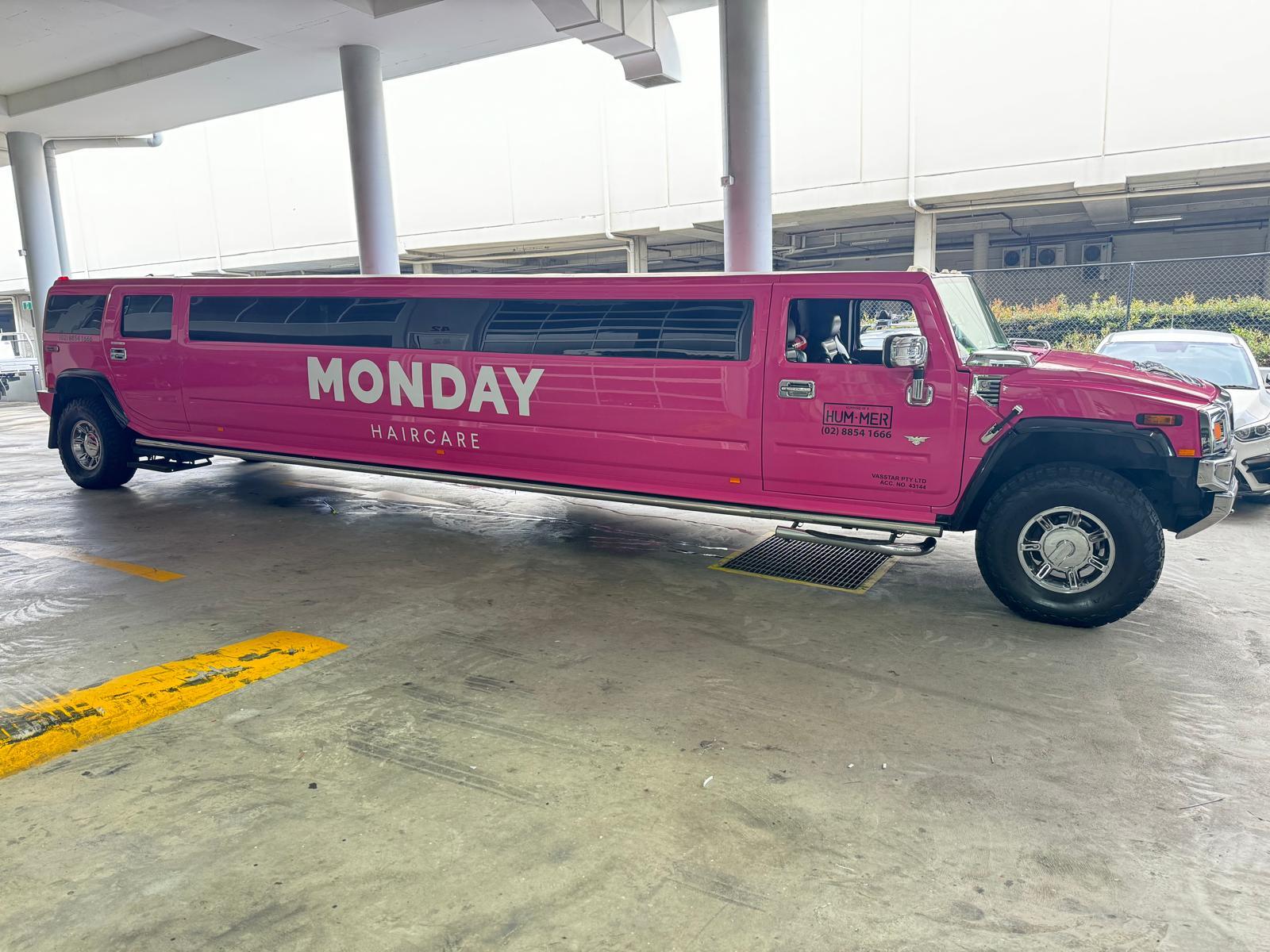 Why This Giant Pink Hummer Took Over Castle Hill (And We Loved Every Second)