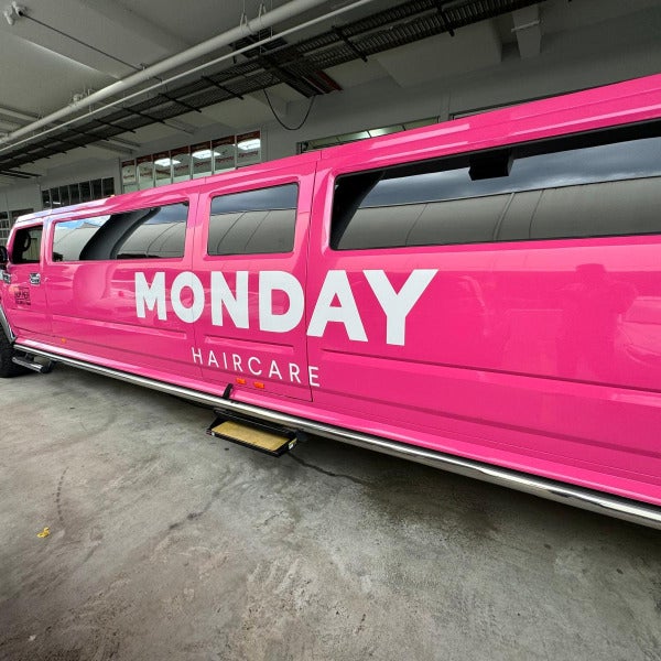 Why This Giant Pink Hummer Took Over Castle Hill (And We Loved Every Second)