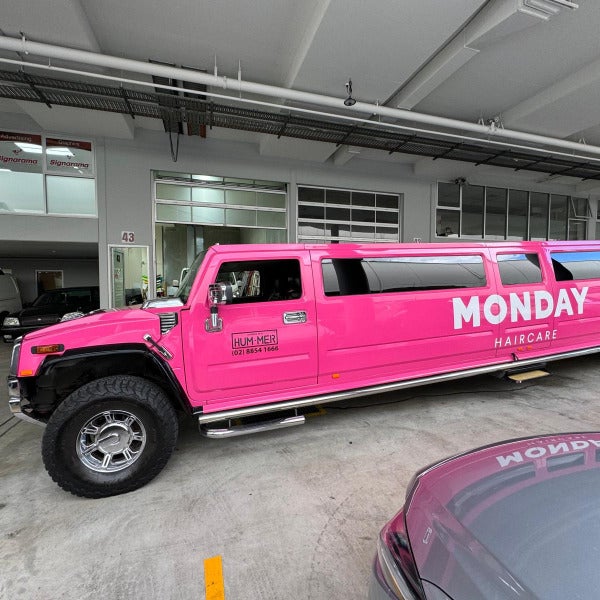 Vehicle Wrap Graphics - Stretch Hummer (6)