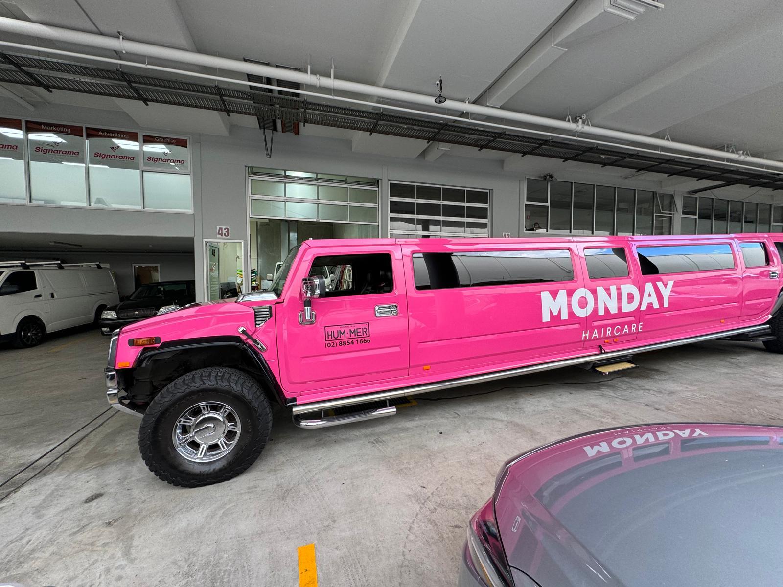 Why This Giant Pink Hummer Took Over Castle Hill (And We Loved Every Second)