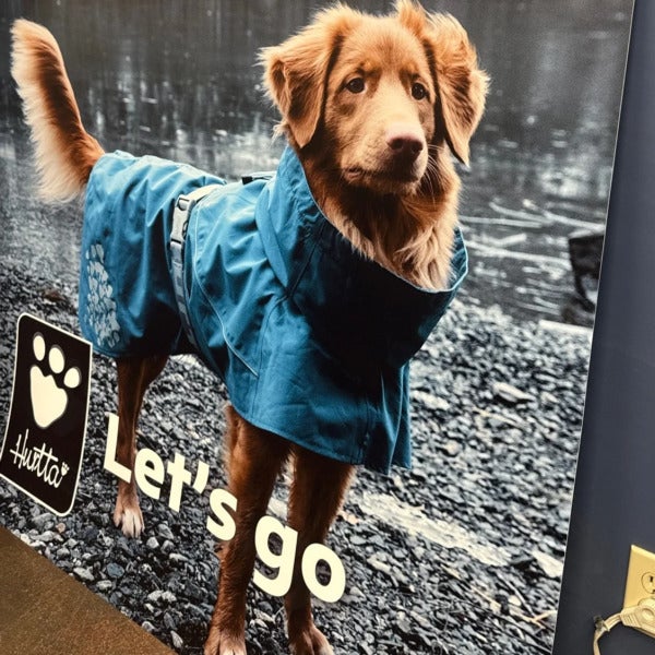 Styrene Print for Homes Alive Pets in Edmonton, AB