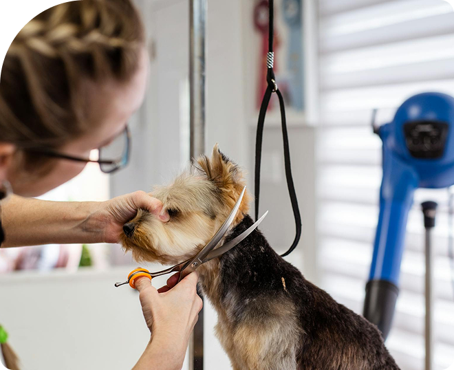 Consulting & Growth Advisory Services | Fortune Business Insights