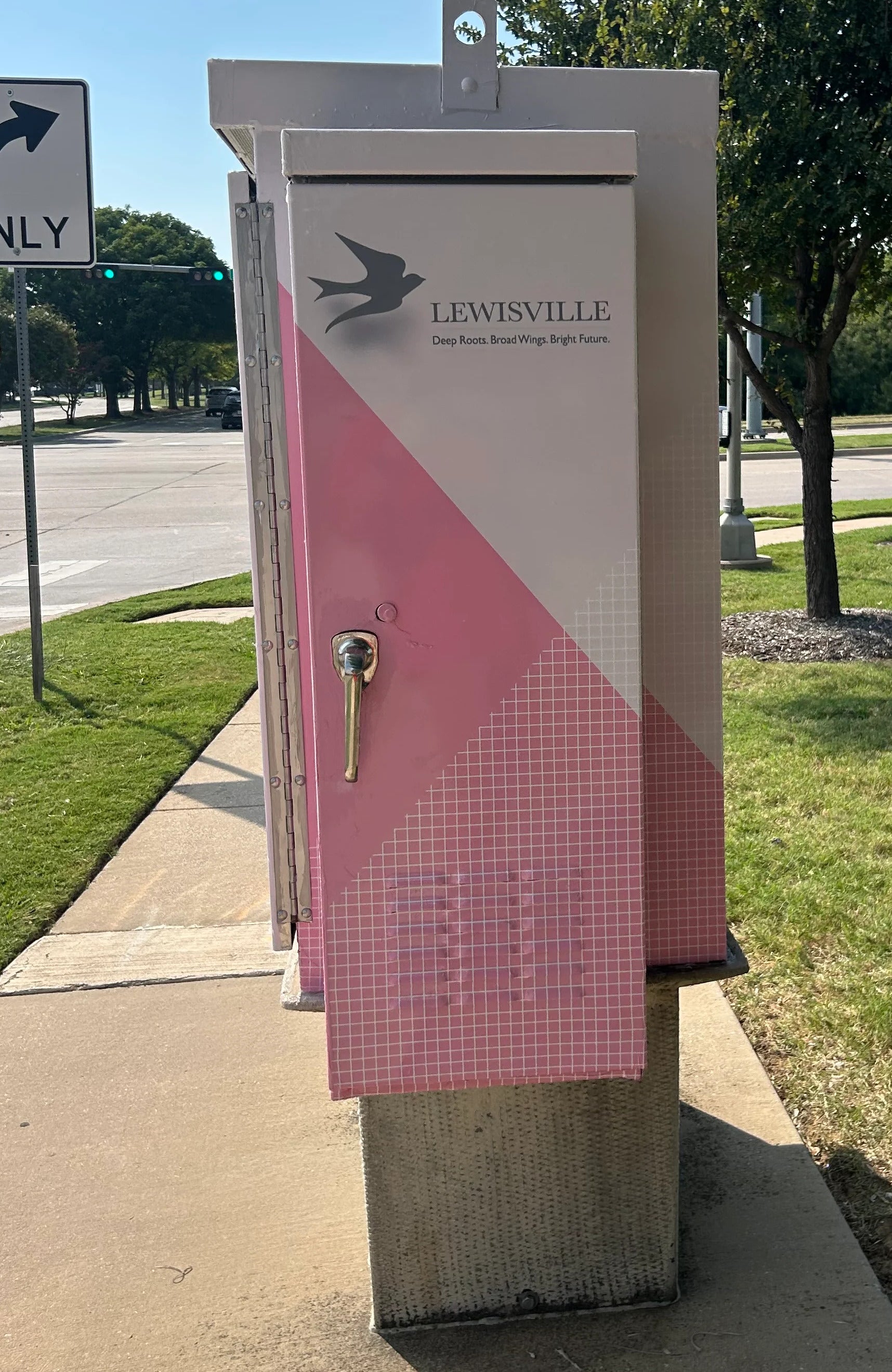 Wrapping Up Beauty: Utility Box Project for the City of Lewisville