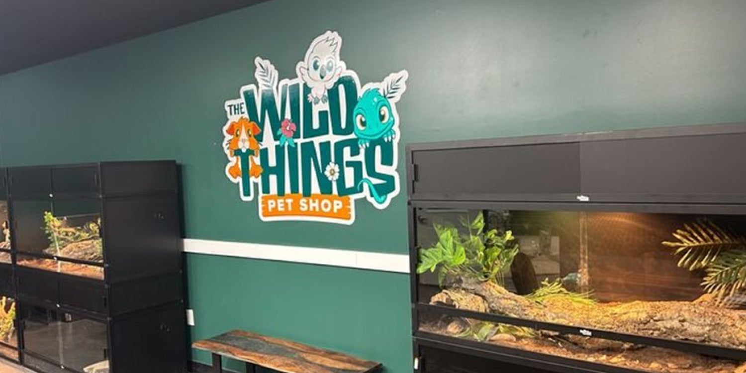 Wall Graphics