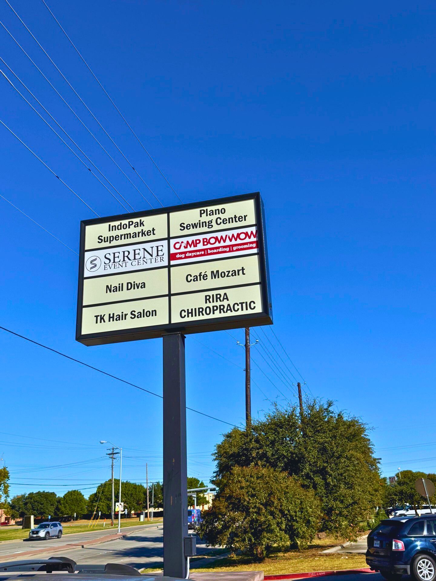 How Camp Bow Wow’s New Pylon Sign Turns Heads (and Paws!) in Plano