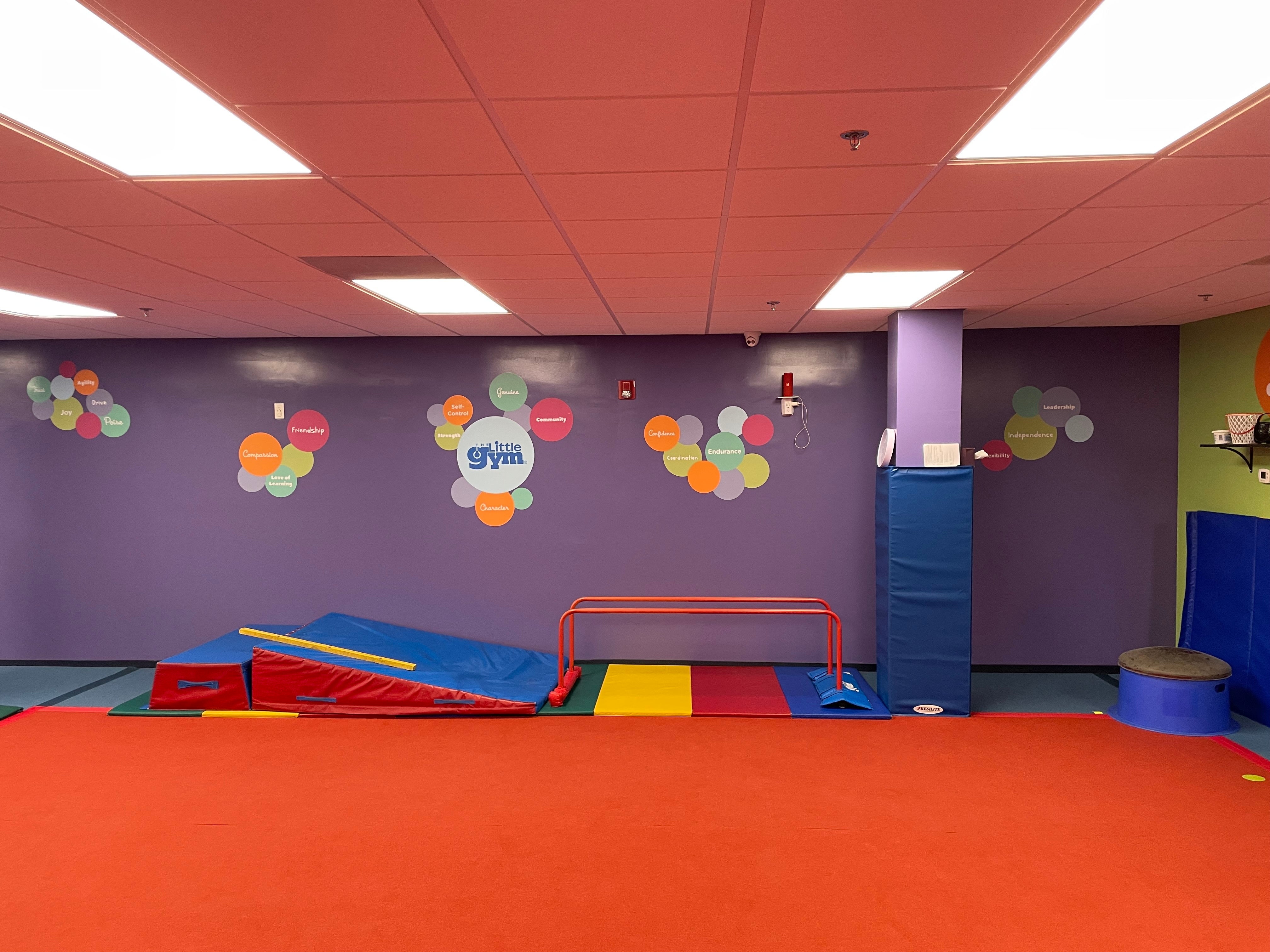 Bright Designs, Big Impact: Custom Wall Graphics for The Little Gym