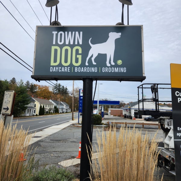 "Stand Out with Custom Signs from Signarama Danvers – Like Town Dog’s New Eye-Catching Design!"