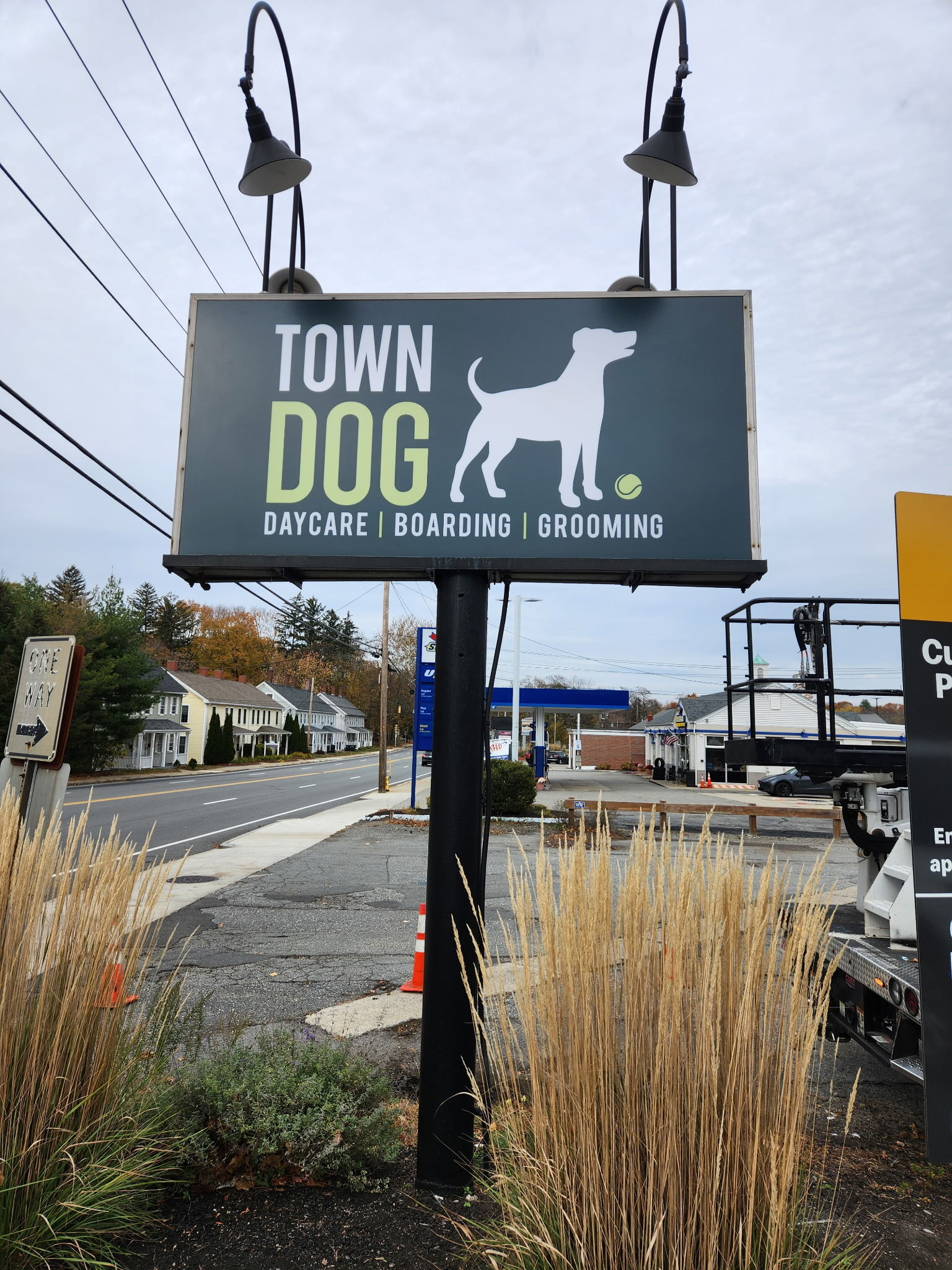 "Stand Out with Custom Signs from Signarama Danvers – Like Town Dog’s New Eye-Catching Design!"