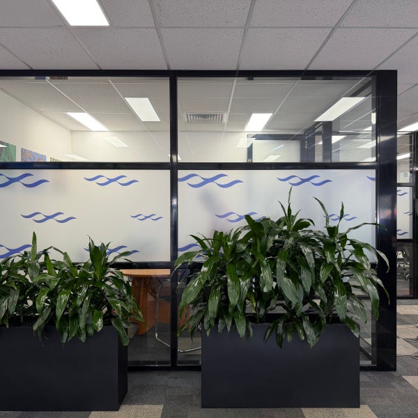 Window Graphic |Digi Print Large Scale Frost For Charles River | Signarama Mount Waverley
