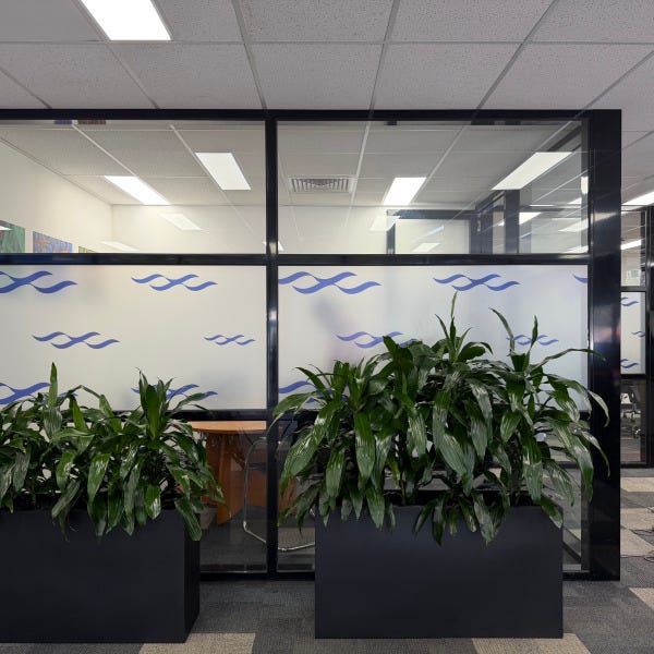 Window Graphic |Digi Print Large Scale Frost For Charles River | Signarama Mount Waverley