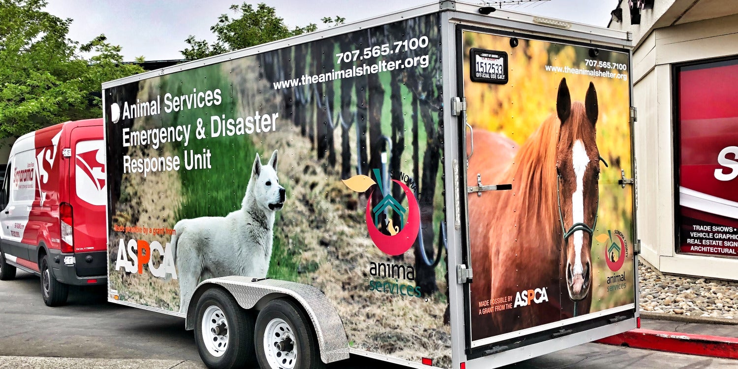 Fleet Vehicle Wraps & Graphics