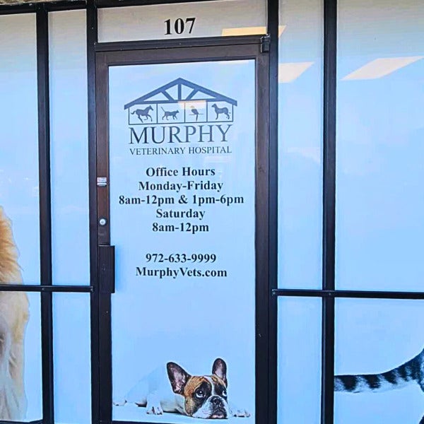 Why Updating Your Store Hours Sign Is Important for Your Business
