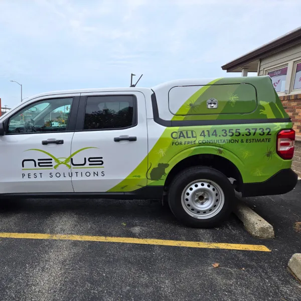 vehicle graphics