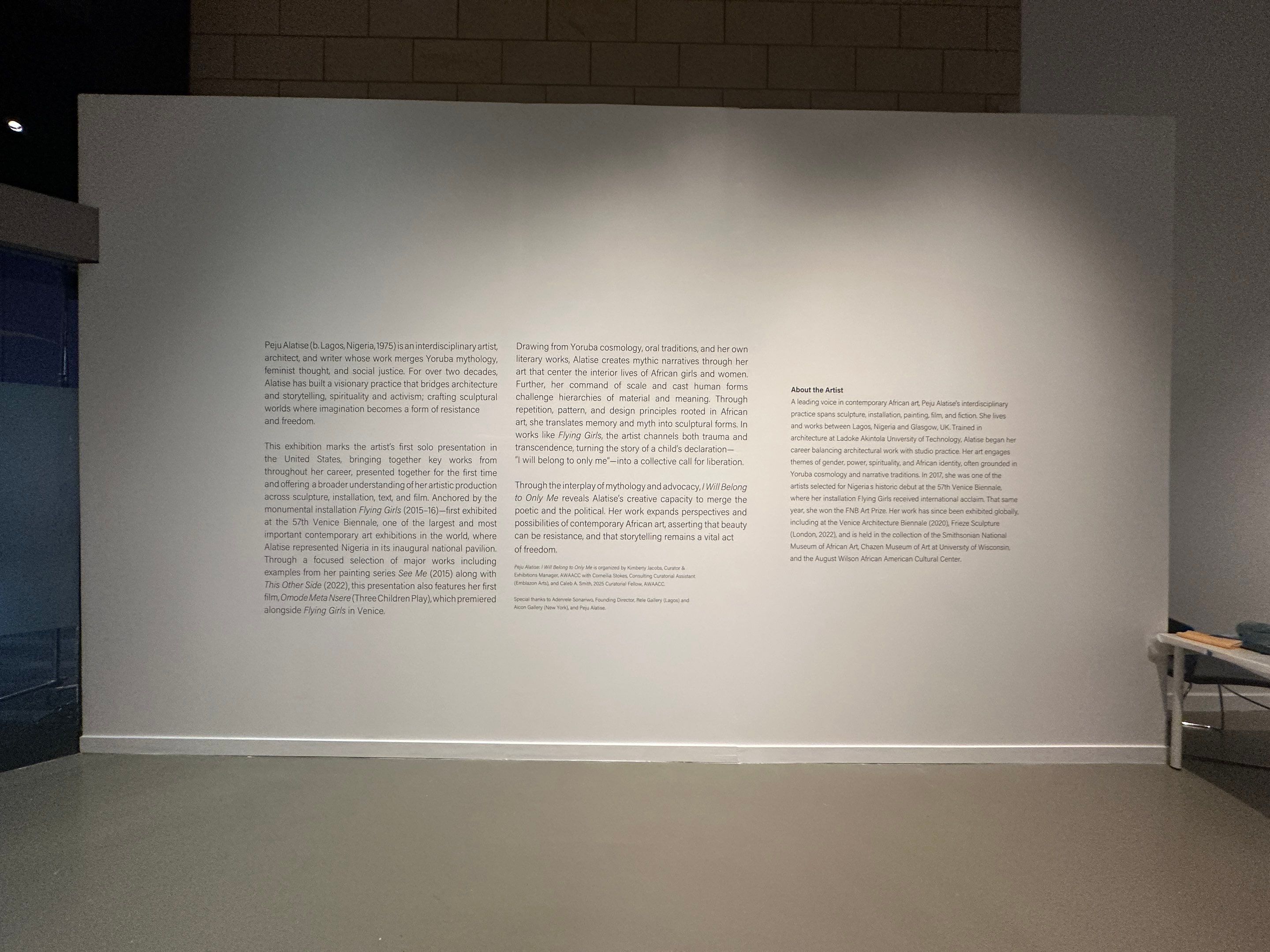 Claude Worthington Benedum Foundation Gallery - Peju Alatise