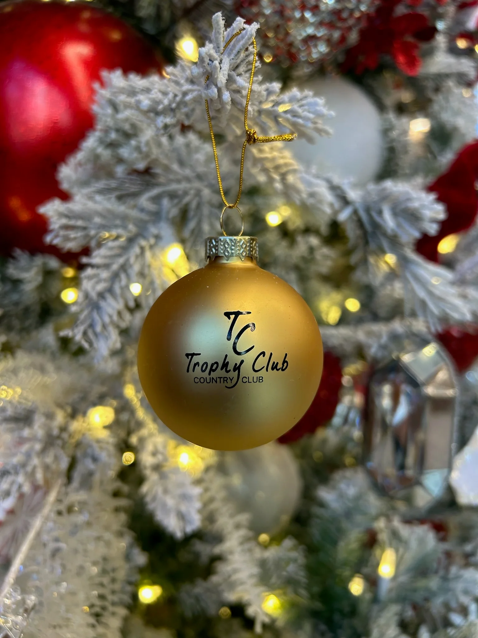 Custom Ornaments to Celebrate 50th Anniversary!