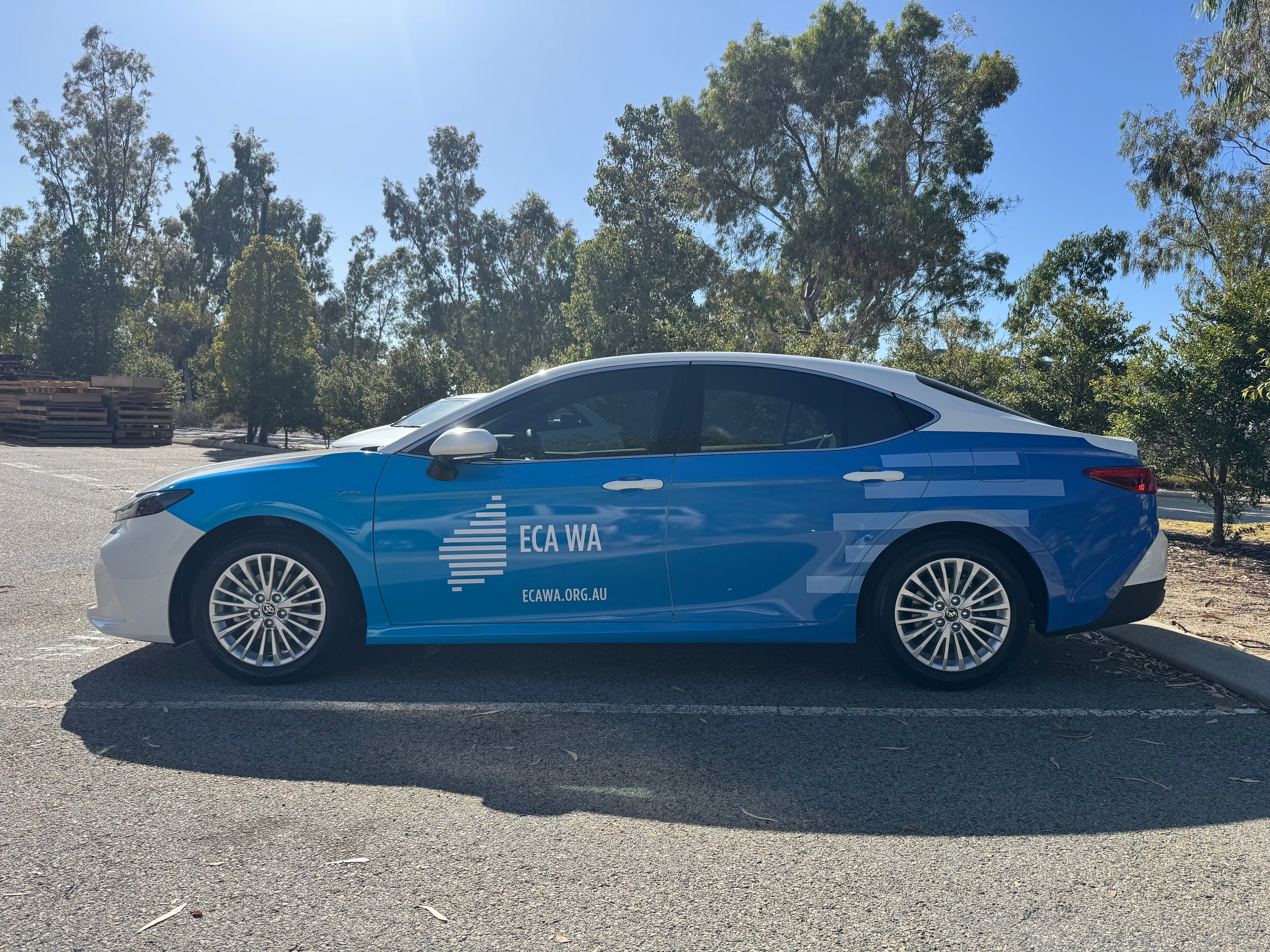 December was ALL about standout vehicle graphics!