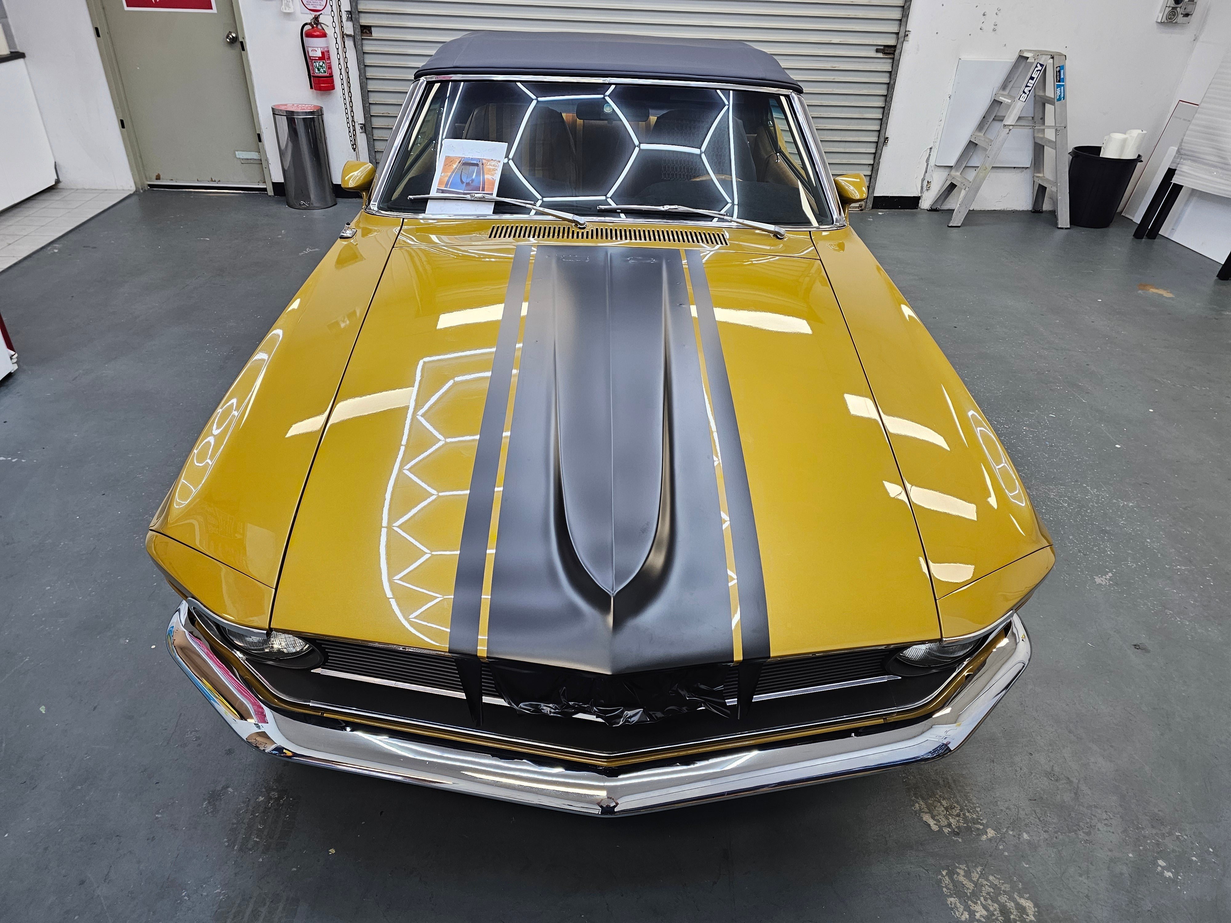December was ALL about standout vehicle graphics!