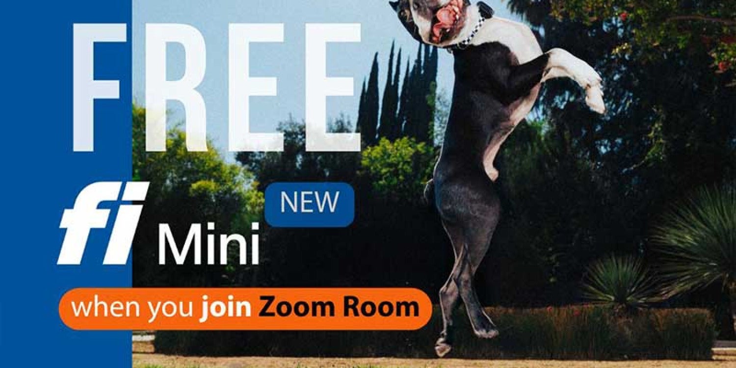 Zoom Room Teams Up with Fi for High-Tech Pup Monitoring Zoom Room Teams Up with Fi for High-Tech Pup Monitoring
