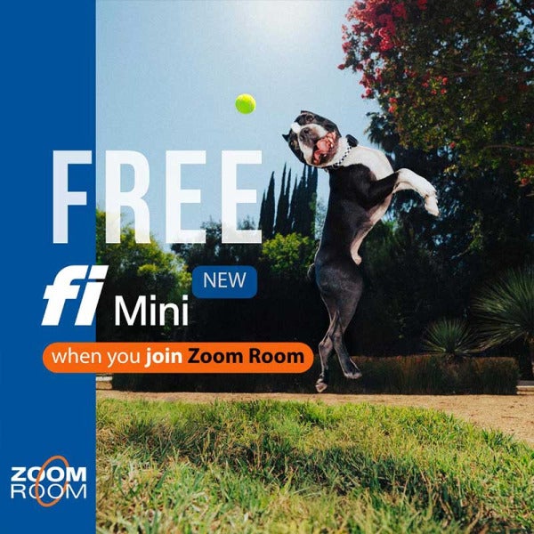Zoom Room Teams Up with Fi for High-Tech Pup Monitoring Zoom Room Teams Up with Fi for High-Tech Pup Monitoring