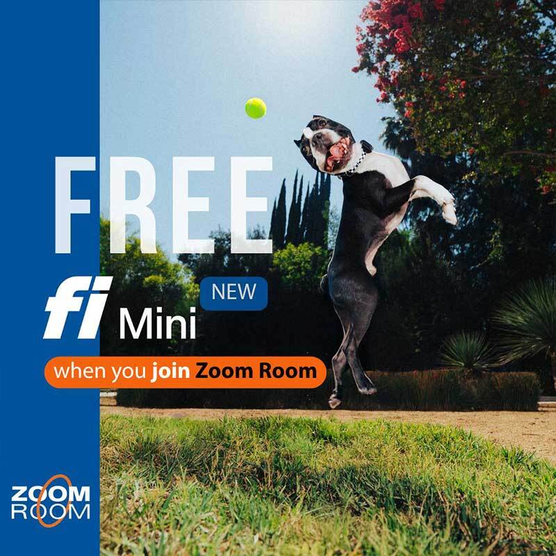 Zoom Room Teams Up with Fi for High-Tech Pup Monitoring Zoom Room Teams Up with Fi for High-Tech Pup Monitoring