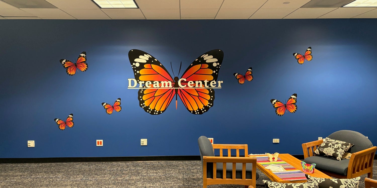 Custom Wall Murals