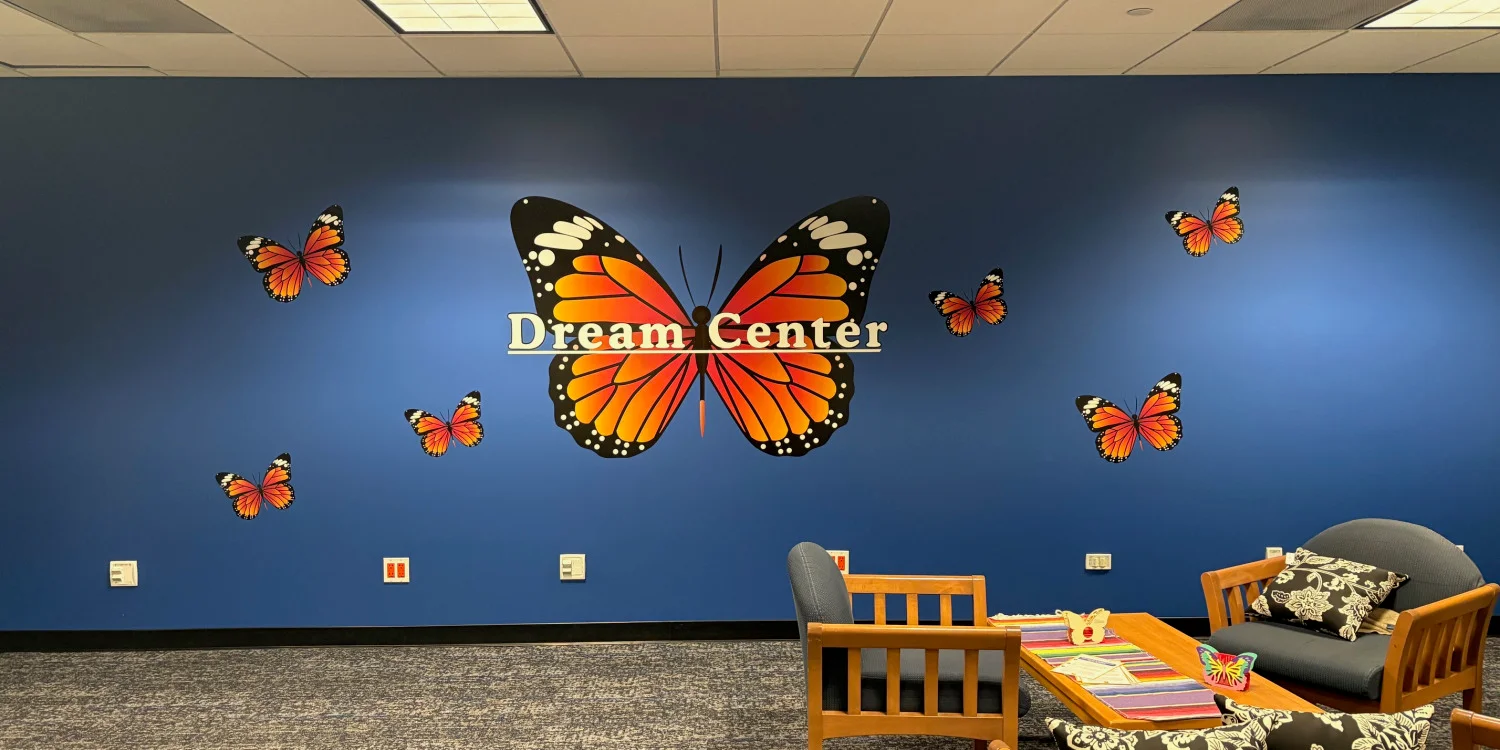 Custom Wall Murals