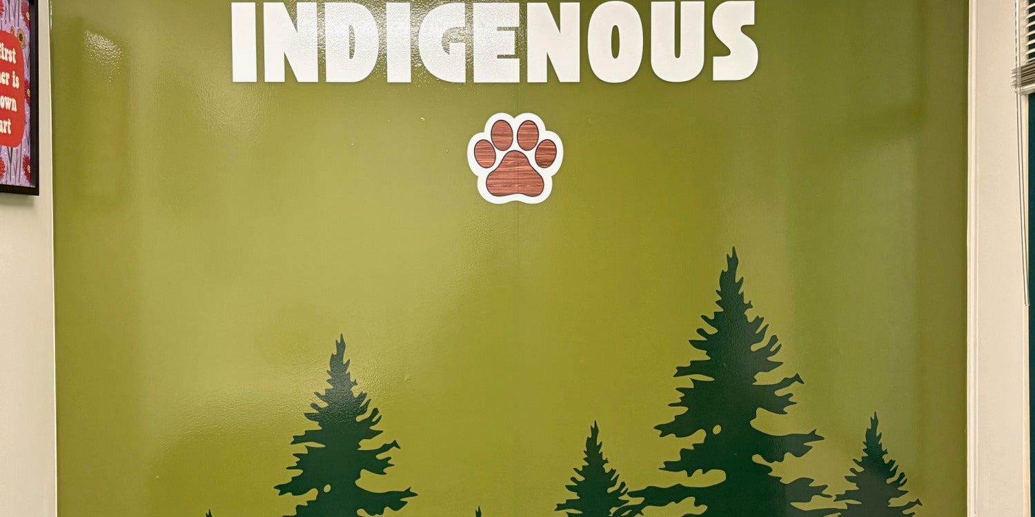 Custom Wall Murals